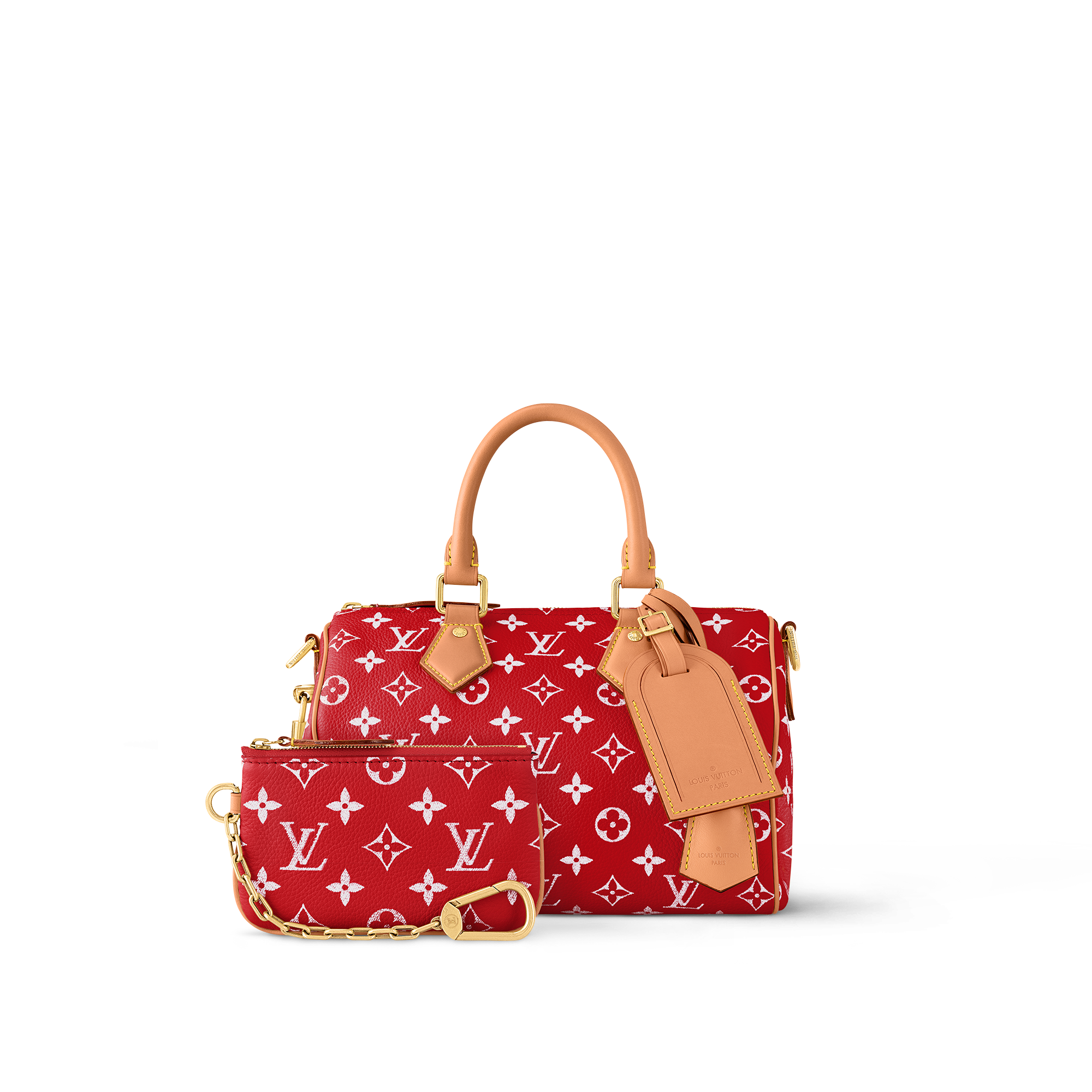 Speedy P9 Bandoulière 25 H40 - Les Extraordinaires - Leather Goods